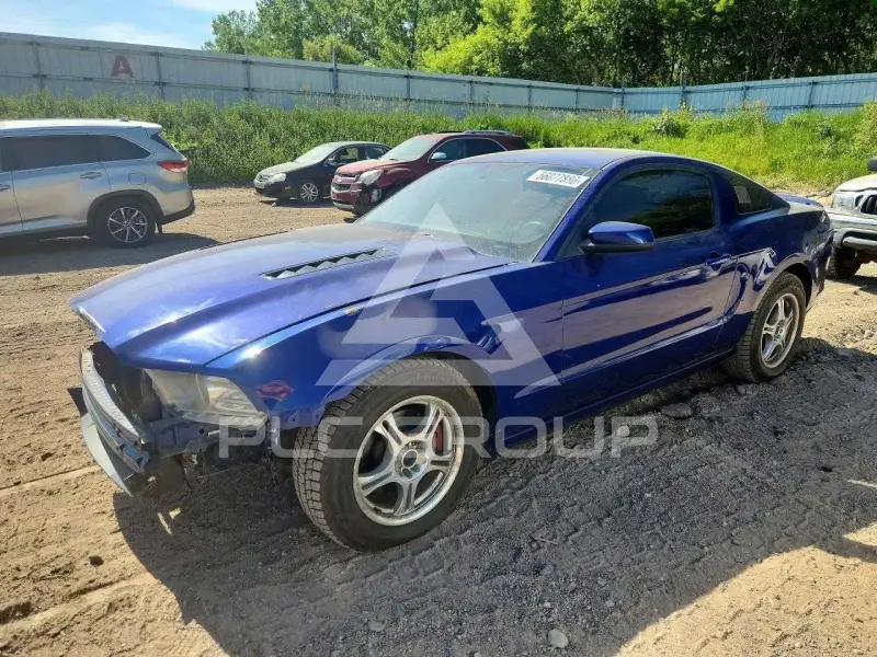 2013 Ford MUSTANG photo