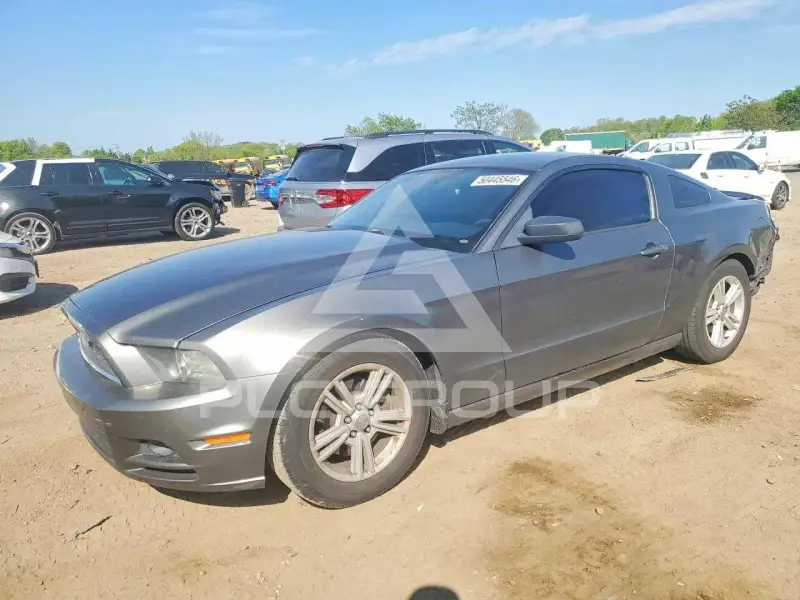 2013 Ford MUSTANG photo
