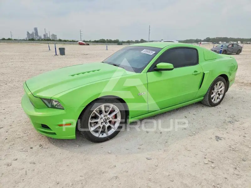 2013 Ford MUSTANG фото