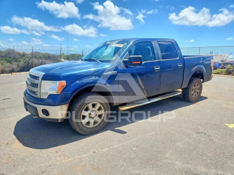 2013 Ford F-150 photo