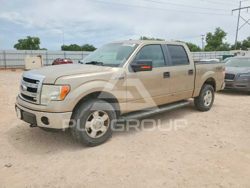 2013 Ford F-150 photo