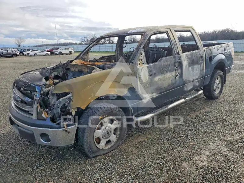 2013 Ford F-150 фото