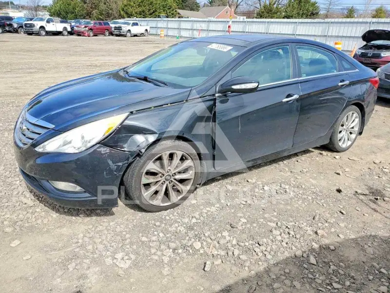 2013 Hyundai Sonata фото