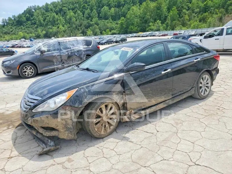 2013 Hyundai Sonata фото