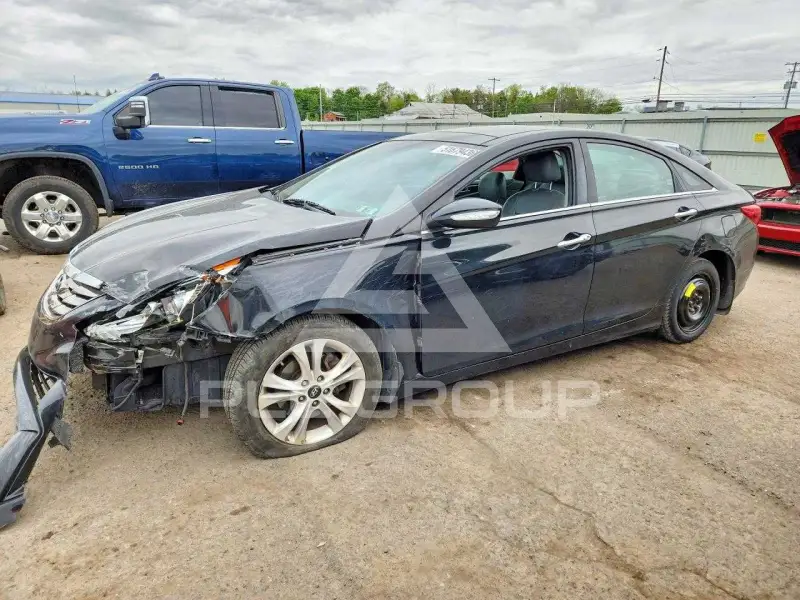 2013 Hyundai Sonata фото
