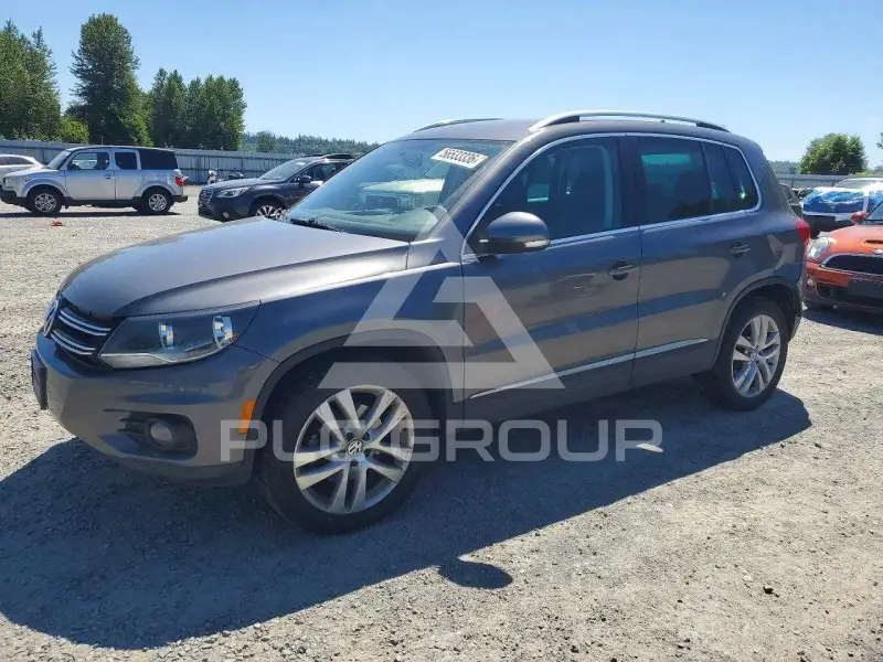 2013 Volkswagen Tiguan фото