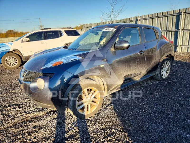 2014 Nissan Juke photo