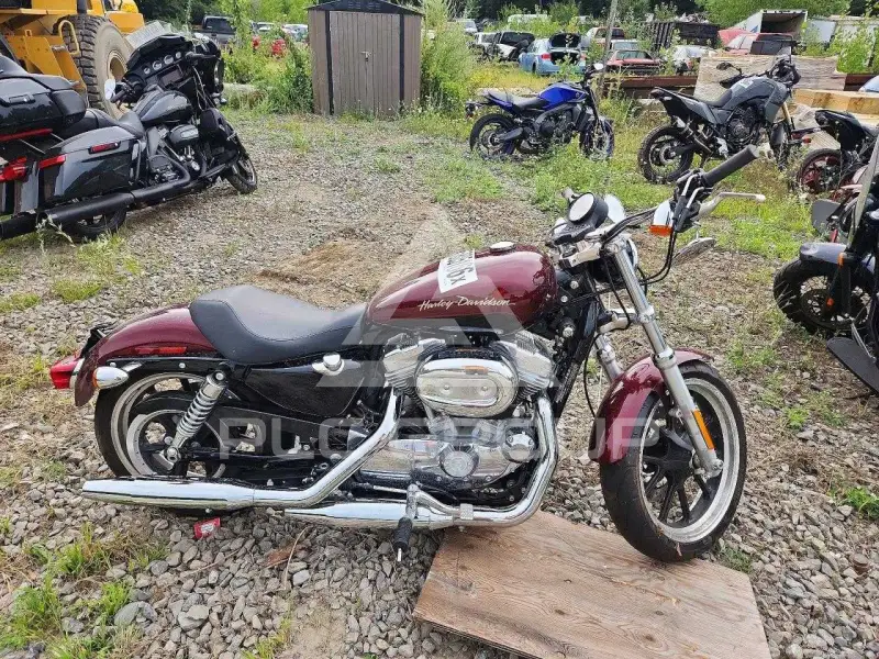 2014 Harley-Davidson XL883 фото