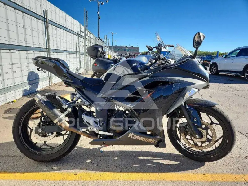 2014 Kawasaki Ninja300 фото