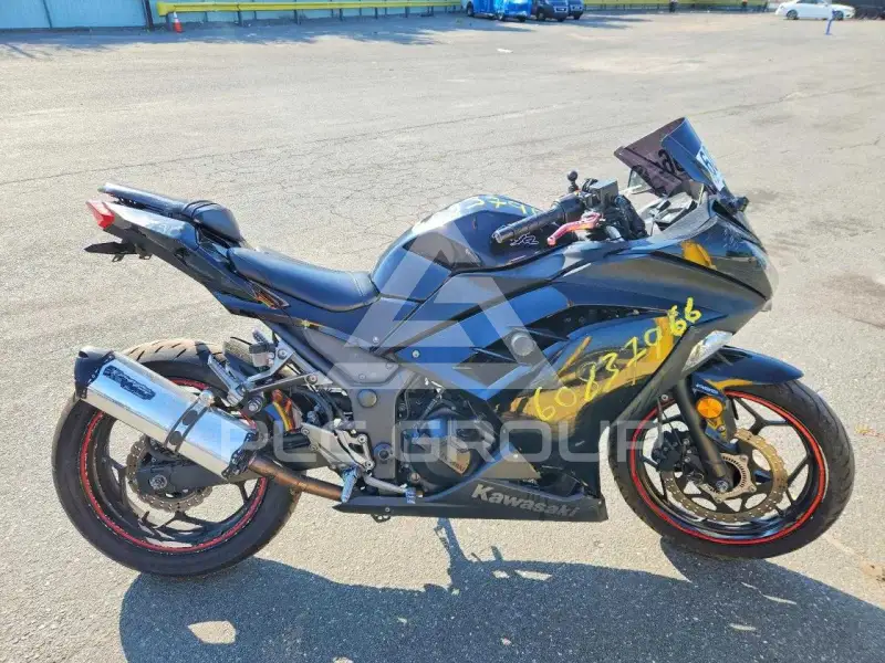 2014 Kawasaki EX300 фото