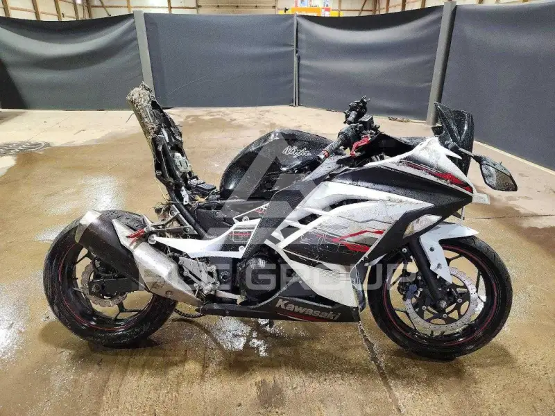 2014 Kawasaki  фото