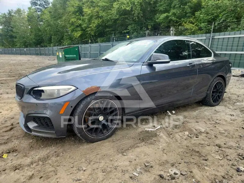 2014 BMW 228 фото