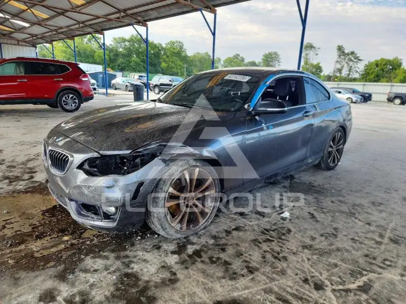2014 BMW 228 фото