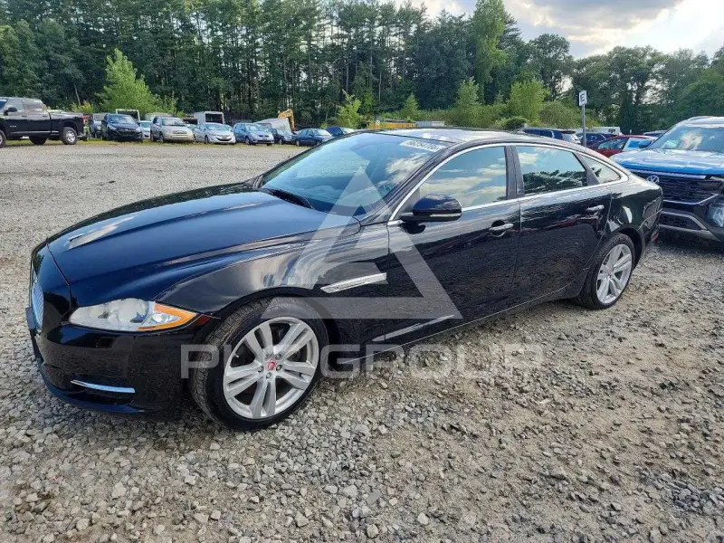 2014 Jaguar XJ photo