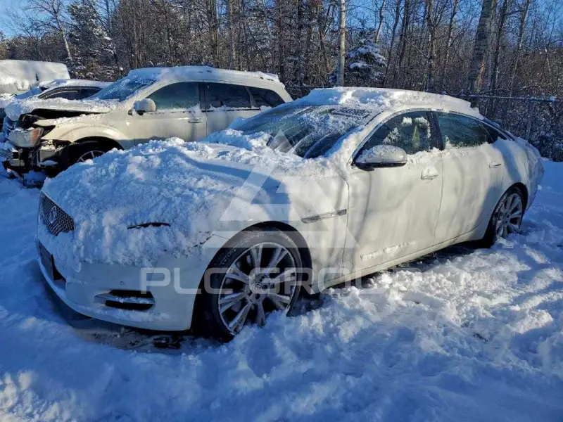 2014 Jaguar XJ фото