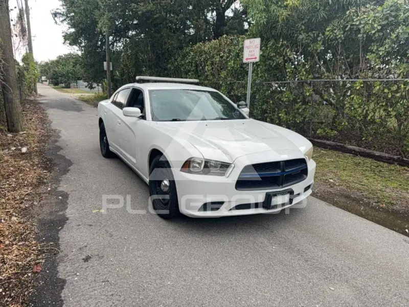 2014 Dodge CHARGER фото