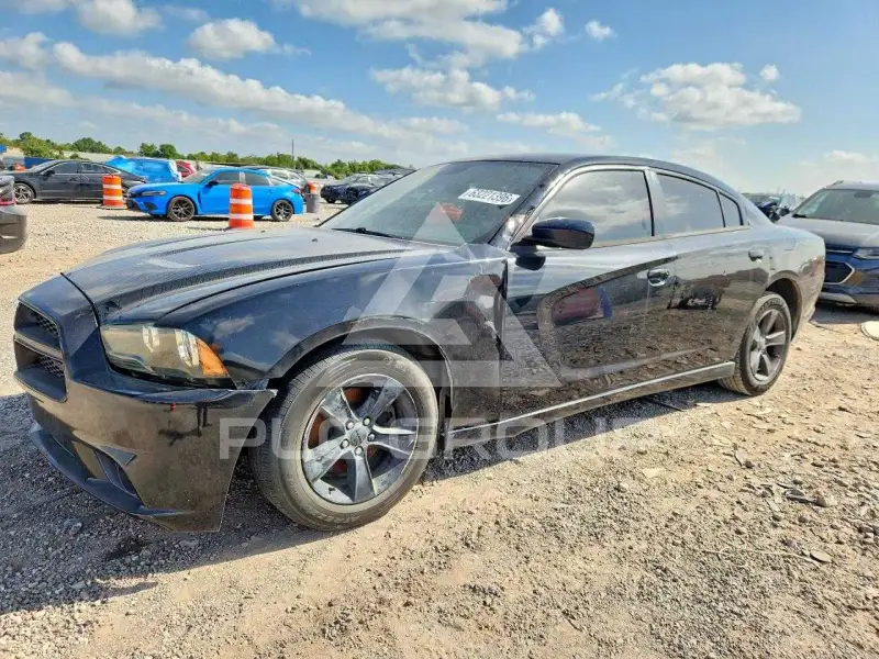 2014 Dodge CHARGER фото