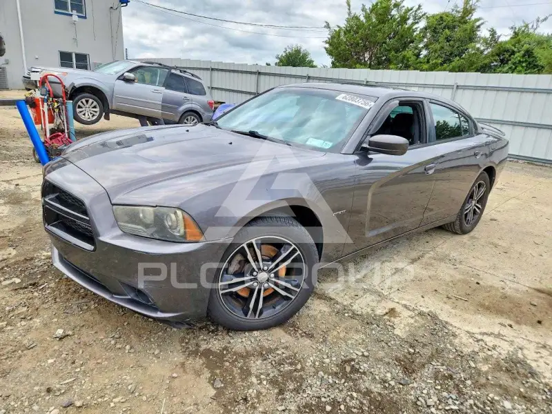 2014 Dodge CHARGER фото