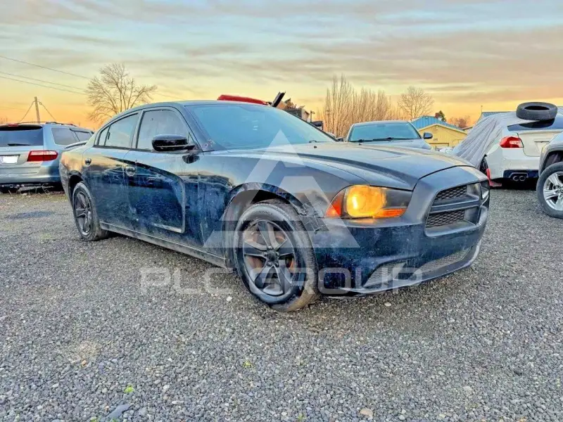 2014 Dodge CHARGER фото
