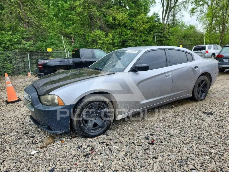 2014 Dodge CHARGER фото