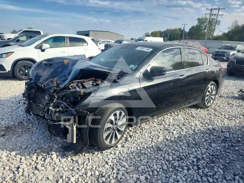 2014 Honda Accord photo