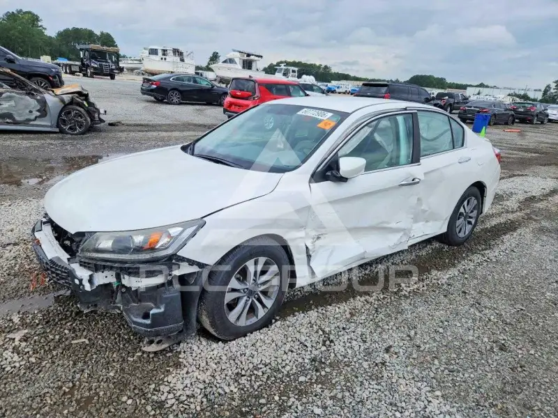 2014 Honda Accord photo