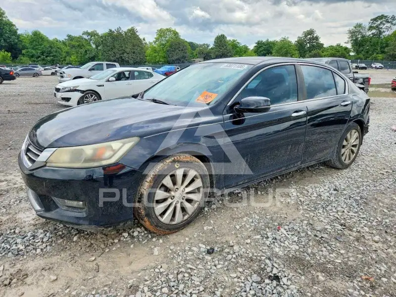 2014 Honda Accord photo