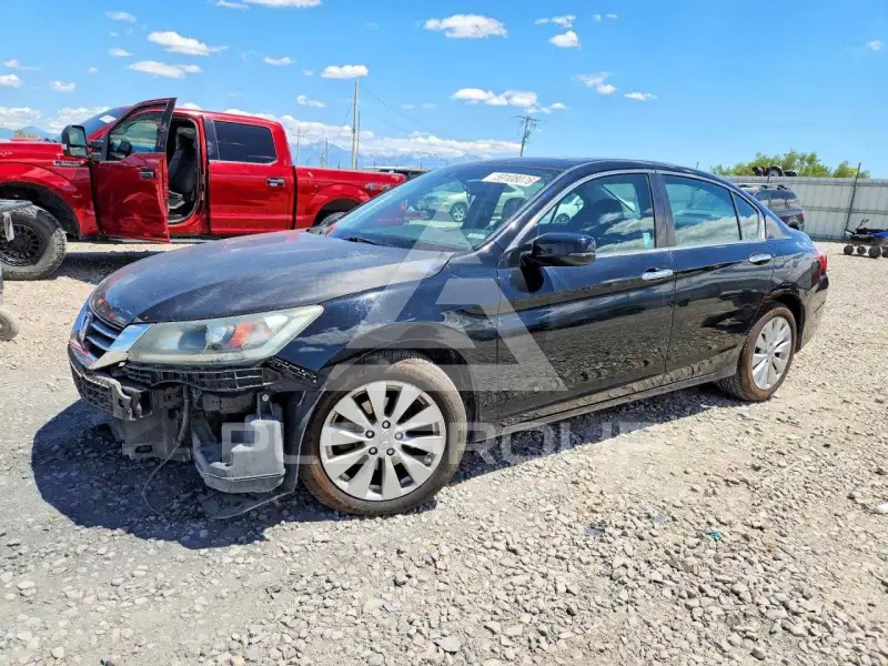 2014 Honda Accord photo