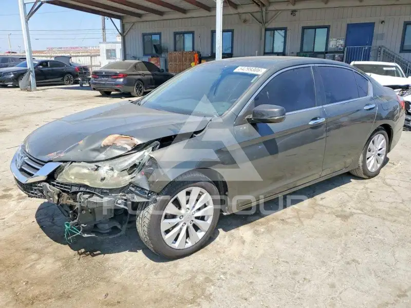 2014 Honda Accord photo
