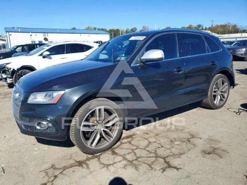 2014 Audi SQ5 photo