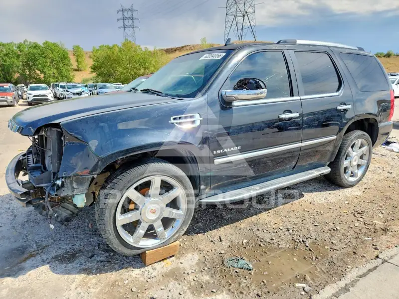 2014 Cadillac ESCALADE фото