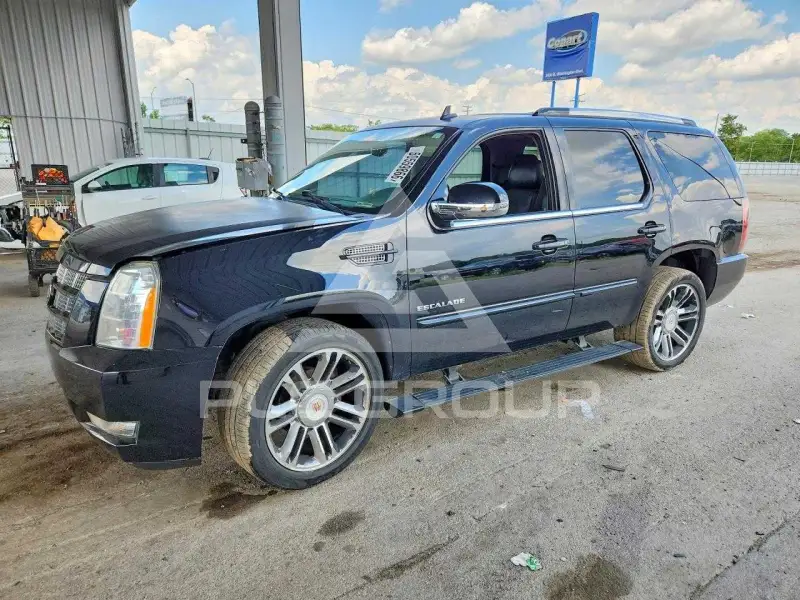2014 Cadillac ESCALADE фото