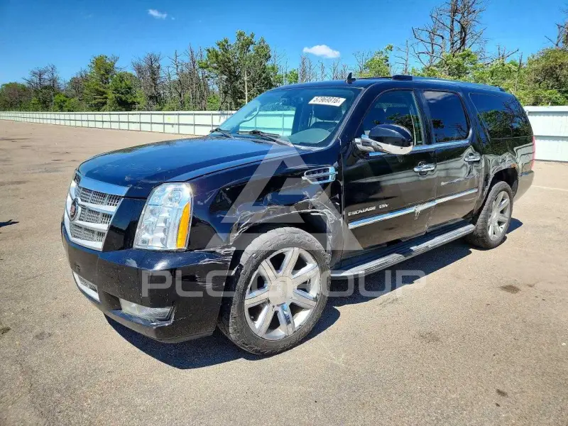 2014 Cadillac ESCALADE фото