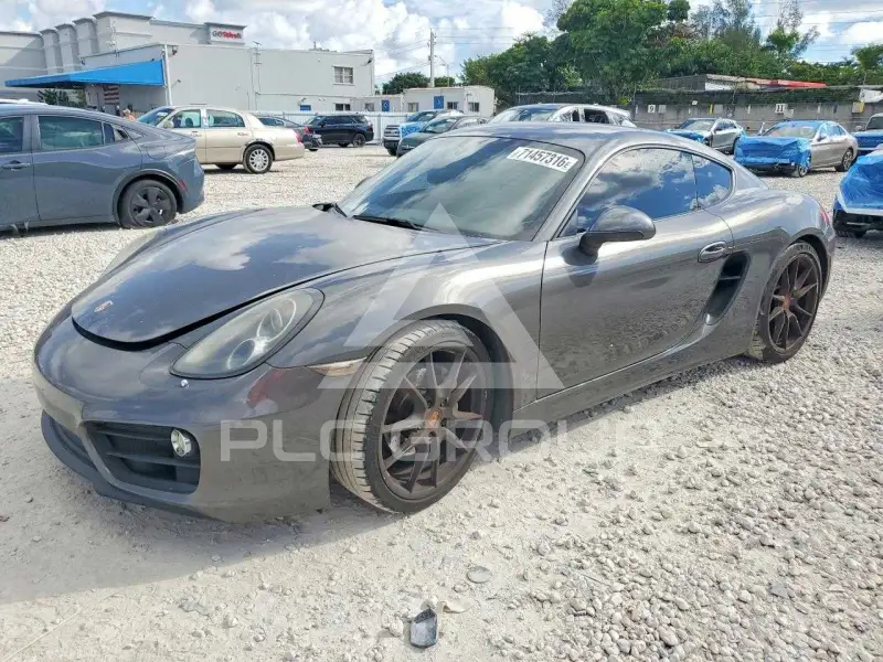 2014 Porsche Cayman photo