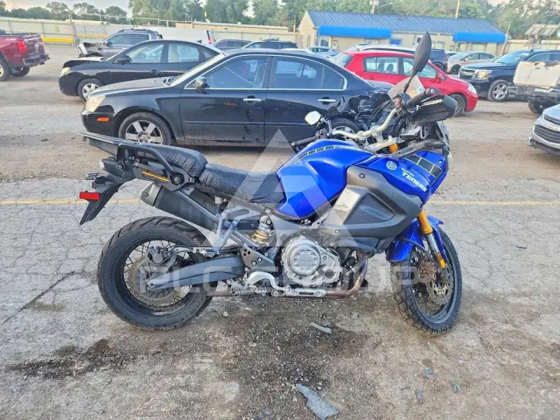 2014 Yamaha  photo