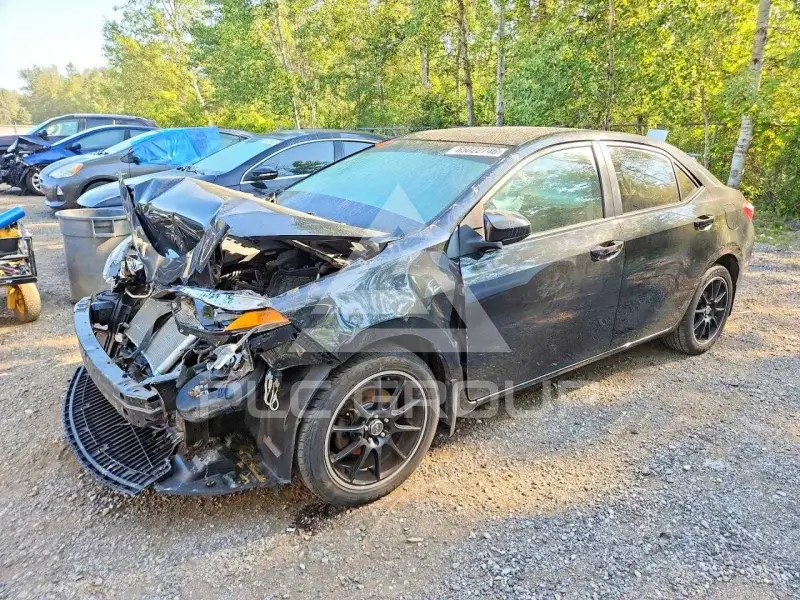 2014 Toyota COROLLA фото