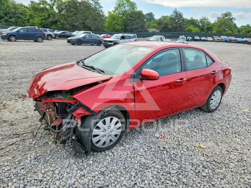2014 Toyota COROLLA photo