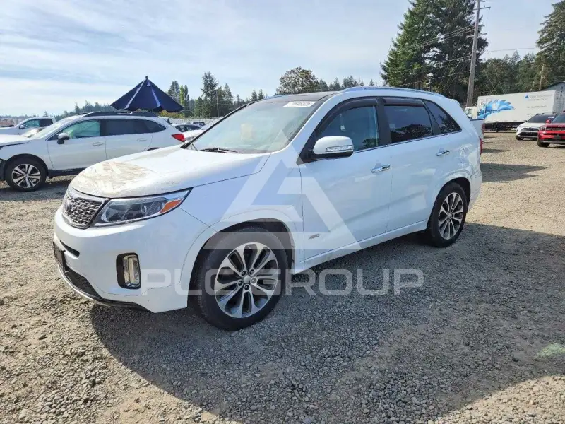 2014 KIA Sorento photo