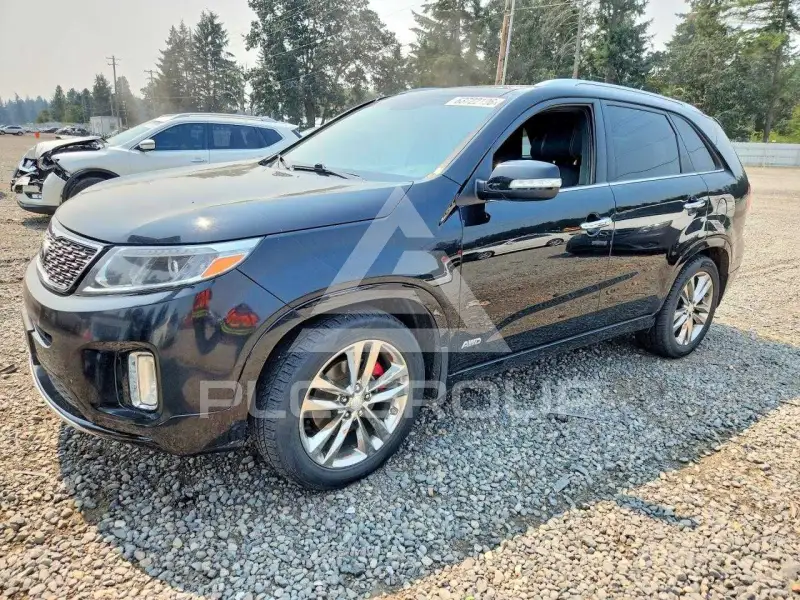 2014 KIA Sorento photo