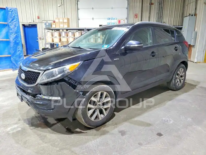 2014 KIA Sportage фото