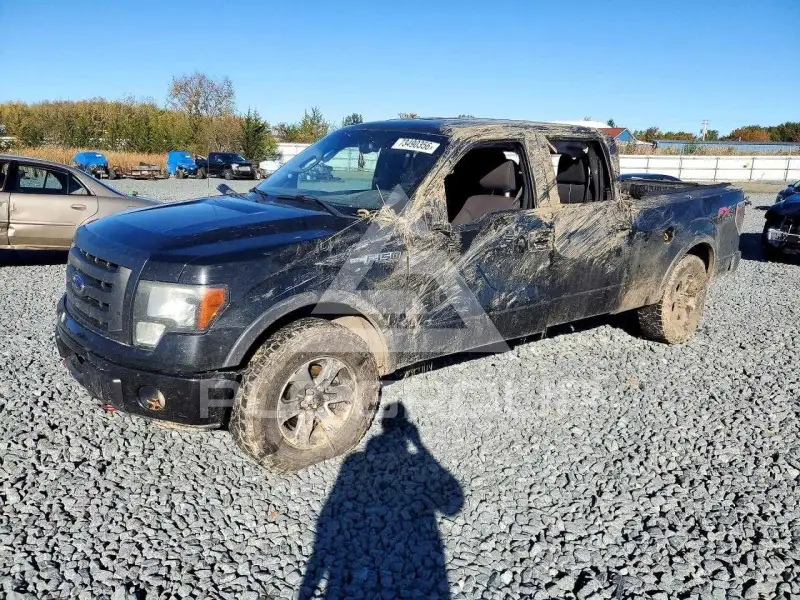 2014 Ford F-150 фото