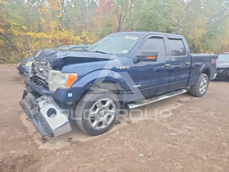 2014 Ford F-150 photo
