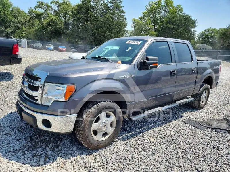 2014 Ford F-150 photo