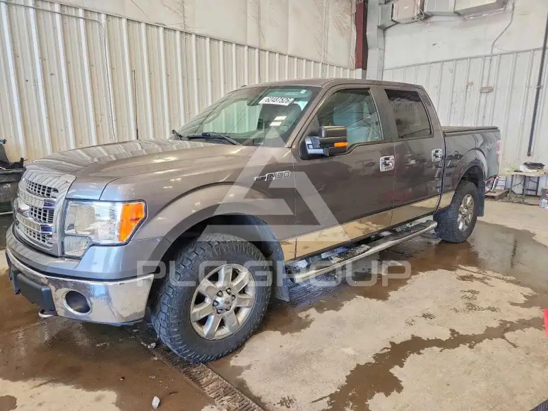 2014 Ford F-150 фото