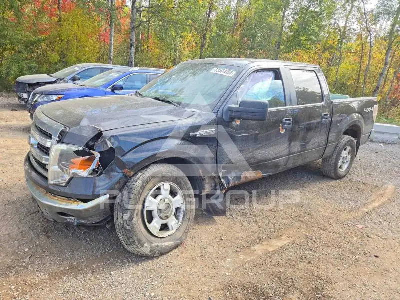 2014 Ford F-150 photo
