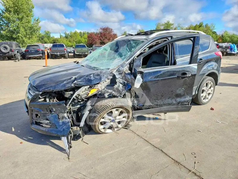 2014 Ford ESCAPE photo