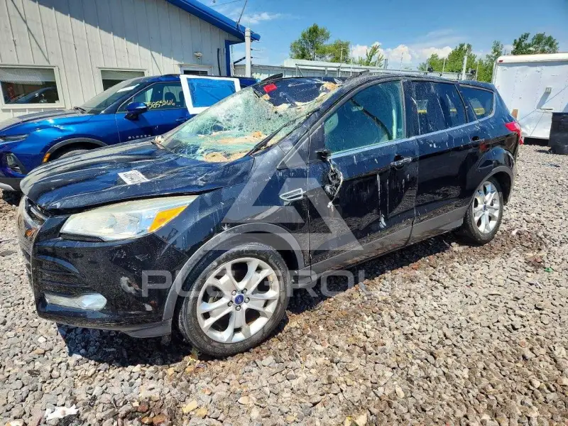 2014 Ford ESCAPE photo