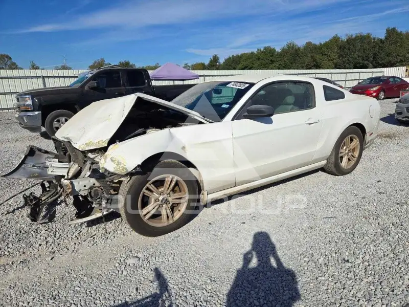 2014 Ford MUSTANG photo