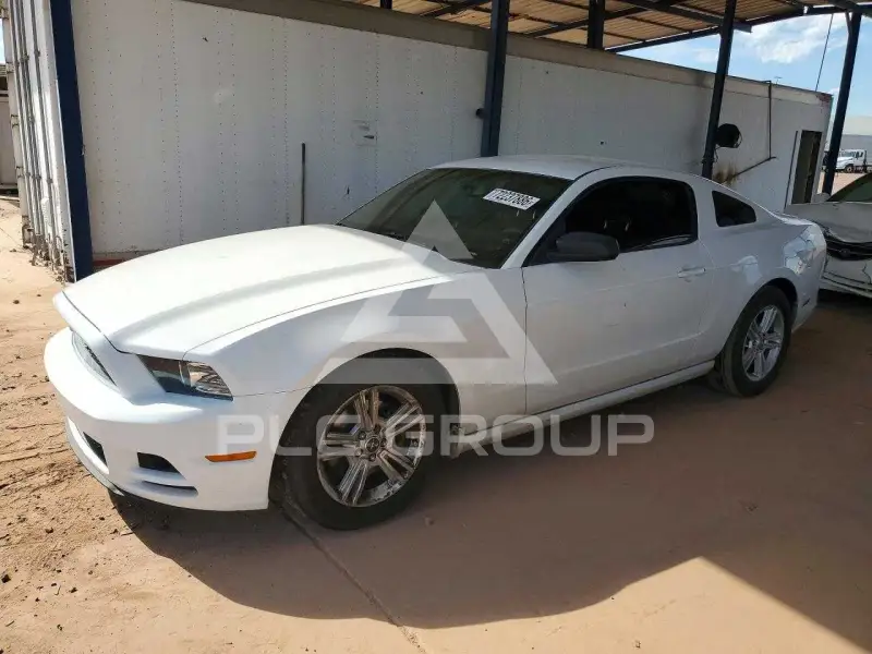 2014 Ford MUSTANG photo