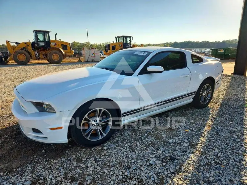 2014 Ford MUSTANG фото